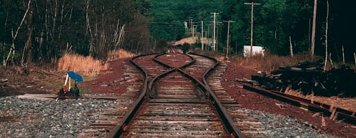 pexels-craig-adderley-1557689 pexels-craig-adderley-1557689