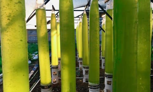 sistema insitu sistema insitu